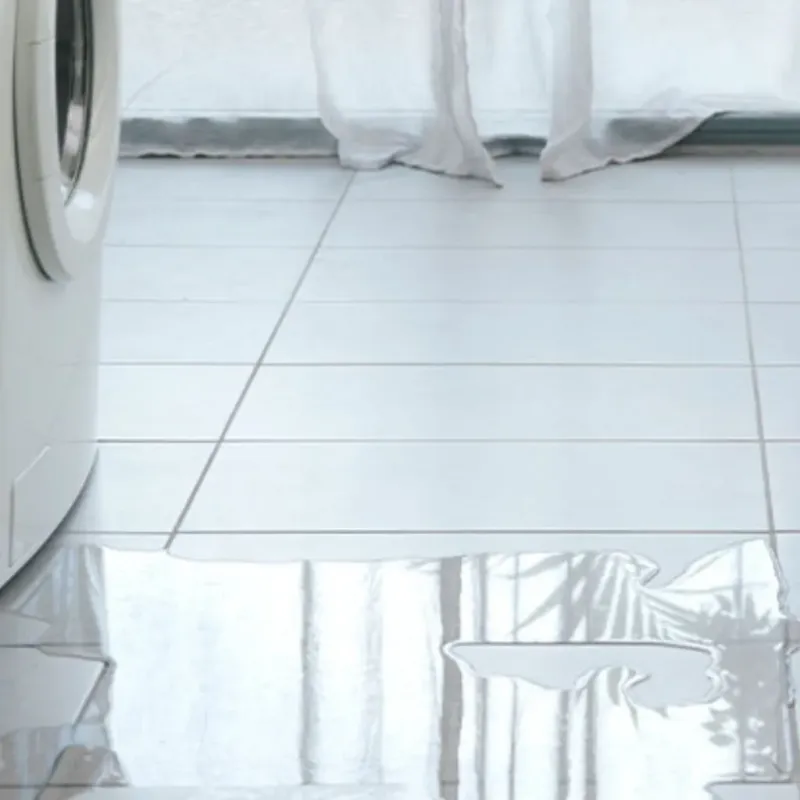 Appliance Leak Cleanup in Elmore, OH