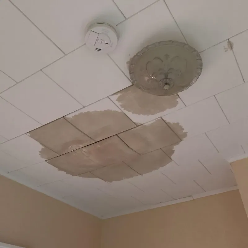 Ceiling Water Damage Repair in Elmore, OH