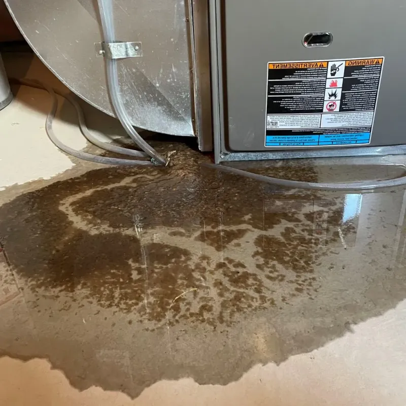 Pipe Burst and Leak Restoration in Elmore, OH