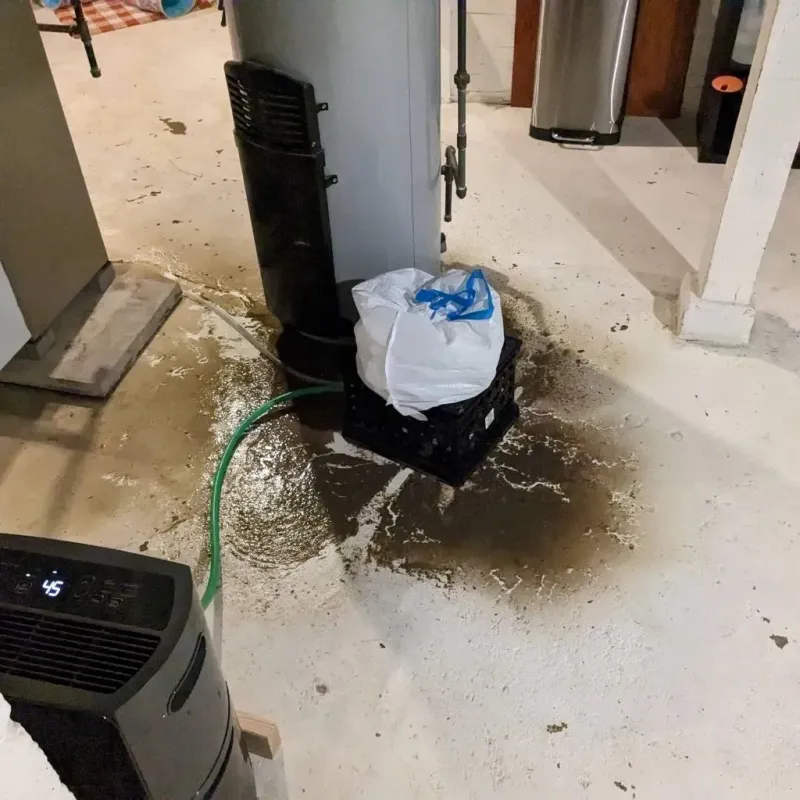 Sewage Backup Cleanup Service in Elmore, OH